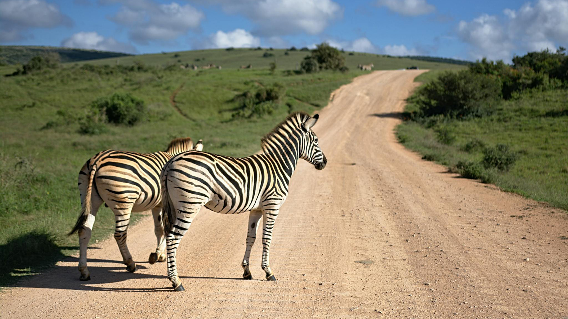 Amboseli – Tsavo West –Tsavo East- Holiday Safari